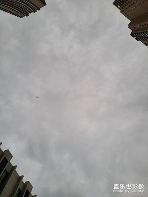 灰機