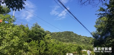 夏日色彩