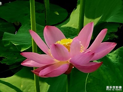 【夏日色彩】+五彩繽紛