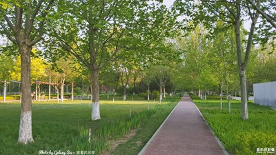 Galaxy S10+ 清寧花園（二）