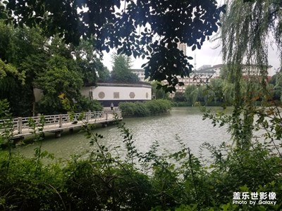【夏日色彩】+清涼雨后