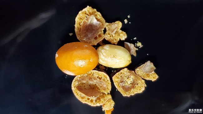 兒時(shí)的記憶【魚(yú)蛋蛋】又叫魚(yú)皮花生米