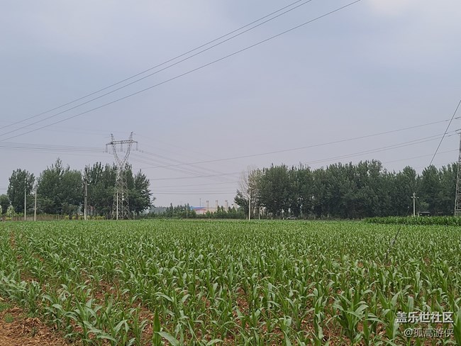 S20U的拍照體驗(yàn)