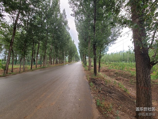 S20U的拍照體驗(yàn)