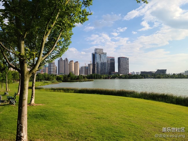 城市中央公園游記
