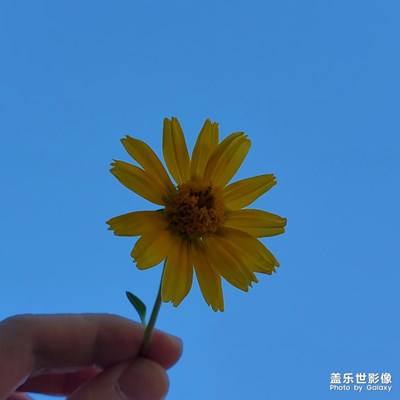 天藍(lán)藍(lán)……