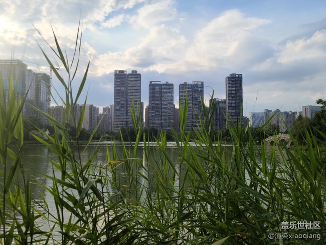 城市中央公園游記