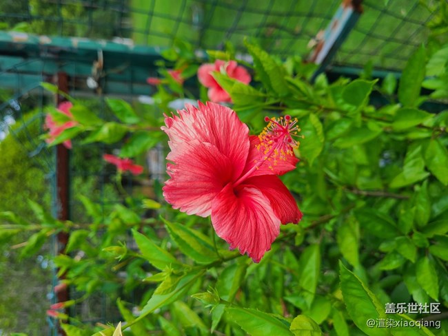 城市中央公園游記