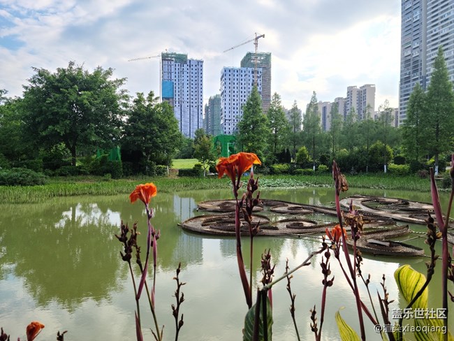 城市中央公園游記