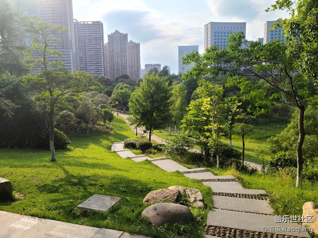 城市中央公園游記