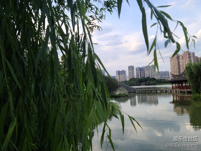 城市中央公園游記
