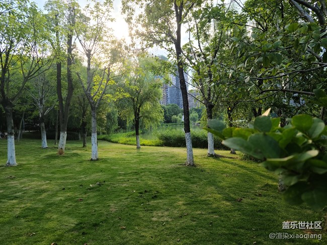 城市中央公園游記