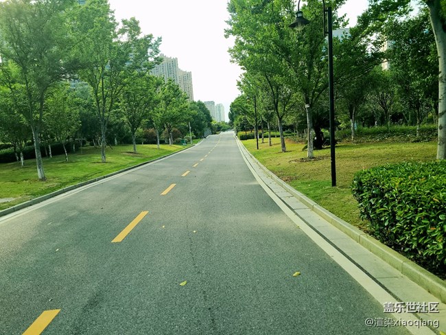 城市中央公園游記