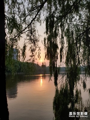 夕陽(yáng)