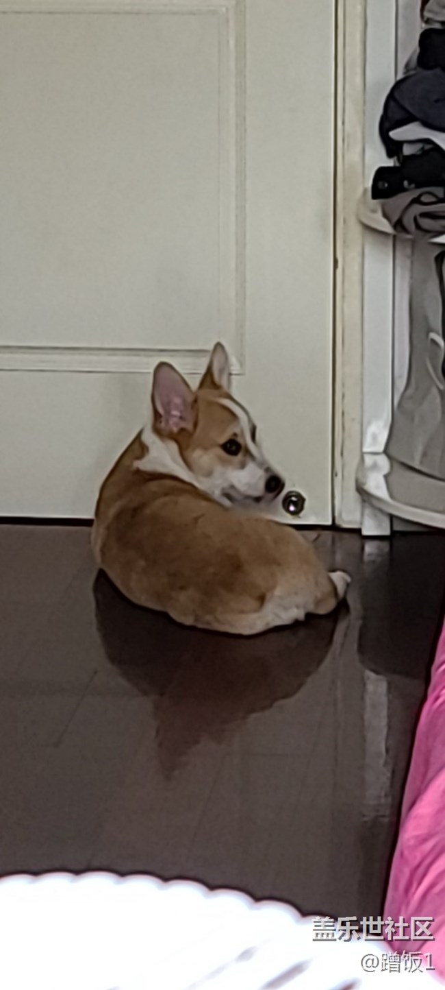 關(guān)于直接用微信里的拍攝