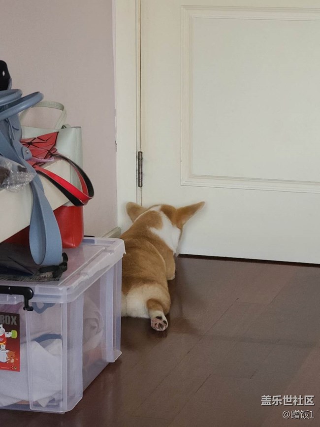 關(guān)于直接用微信里的拍攝