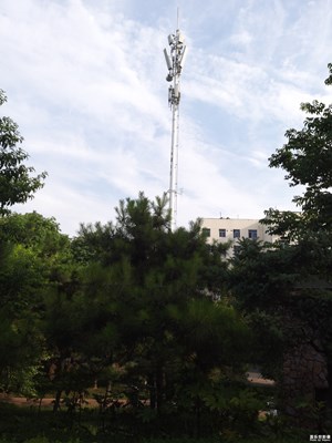 【夏日色彩】+綠樹(shù)藍(lán)天