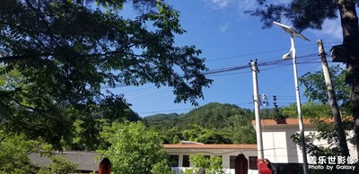盛夏時(shí)光