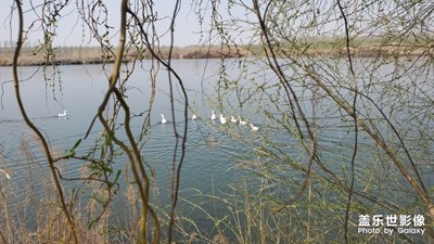 無(wú)題