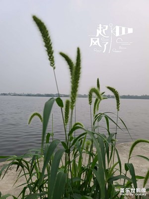家門口的風景