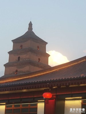 我愛我的城