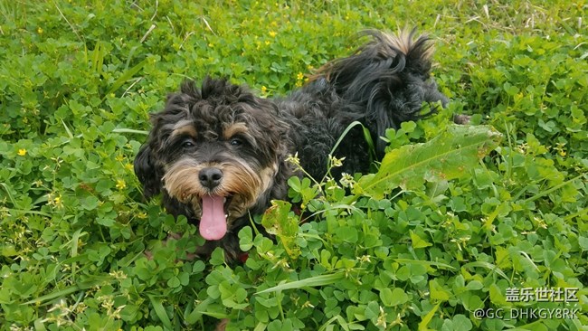 【運(yùn)動(dòng)】+同行