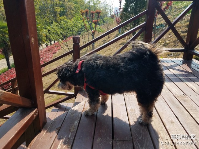 【運(yùn)動(dòng)】+同行