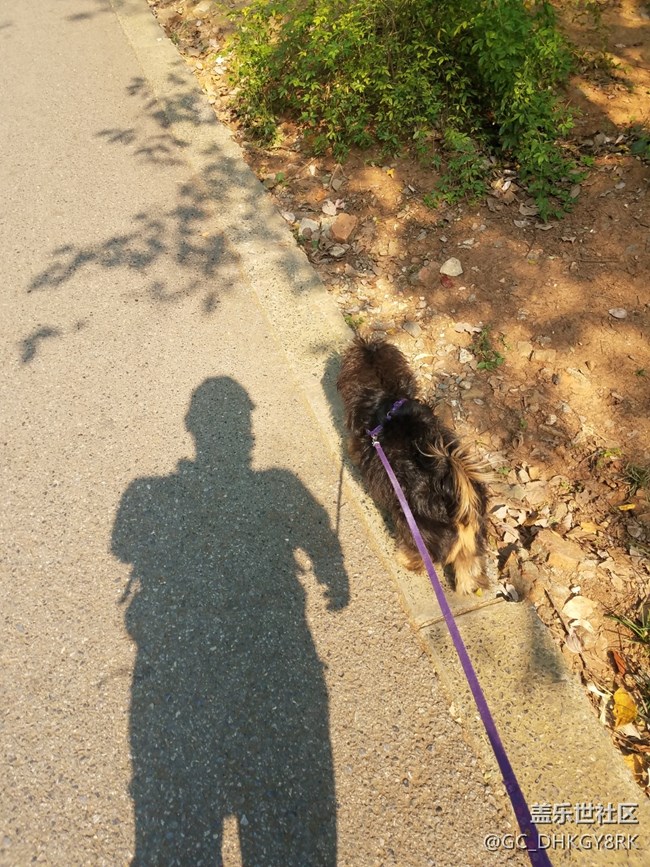 【運(yùn)動(dòng)】+同行