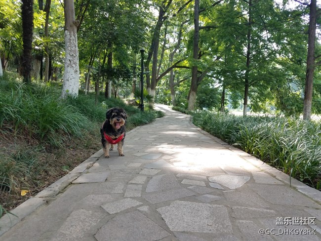 【運(yùn)動(dòng)】+同行