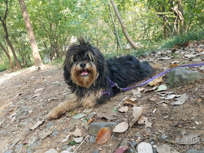 【運(yùn)動(dòng)】+同行