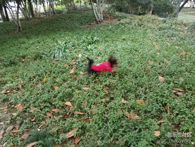 【運(yùn)動(dòng)】+同行