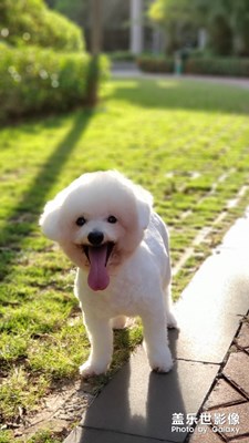 生活的記錄，note9的陪伴。