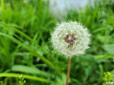 S20 Ultra隨時(shí)拍