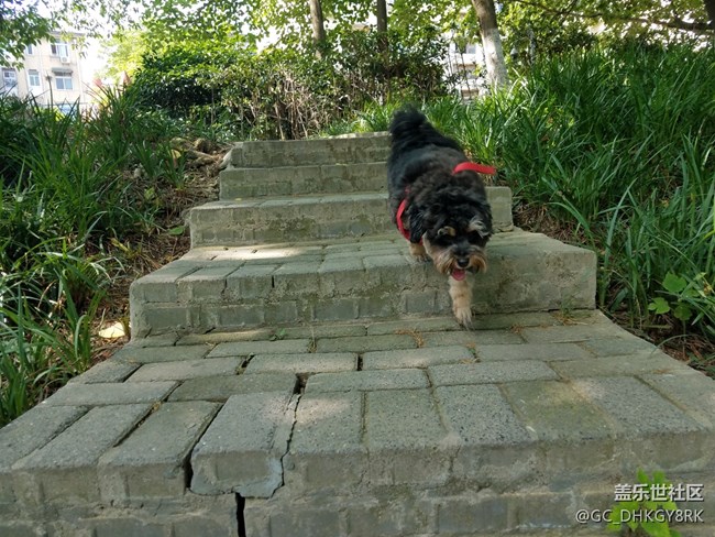 【運(yùn)動(dòng)】+同行