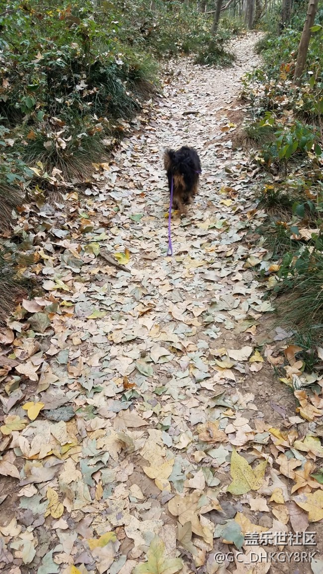 【運(yùn)動(dòng)】+同行