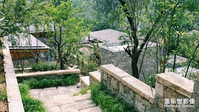 泰山人家?。√厣袼薮澹?！
