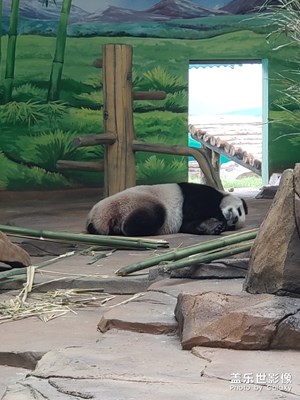 動物園轉(zhuǎn)一轉(zhuǎn)