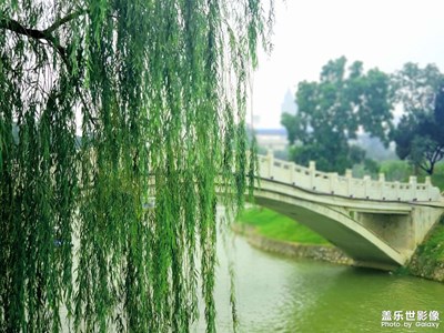 note9隨手拍
