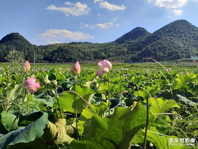 三星拍照依舊不錯(cuò)
