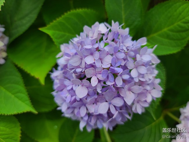 激進(jìn)的超旗艦機(jī)皇-三星Galaxy S20 Ultra用后感