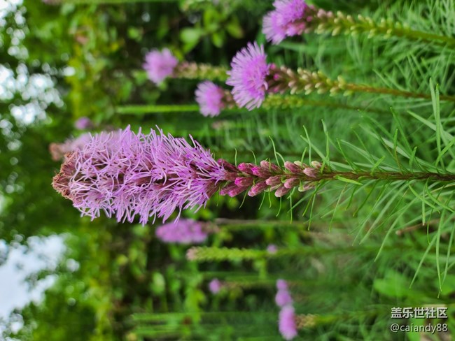 激進(jìn)的超旗艦機(jī)皇-三星Galaxy S20 Ultra用后感