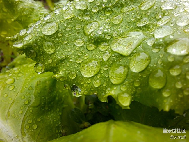 【Galaxy A51 5G星粉體驗活動】顏值超高啊小姐姐趕快入手吧 【Galaxy A51 5G星粉體驗活動】顏值超高啊小姐姐趕快入手吧