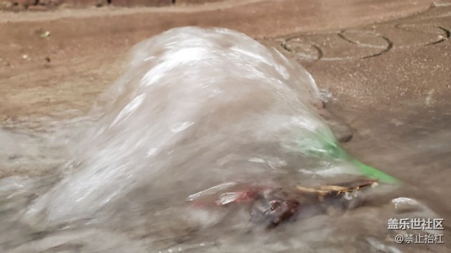 夏日未絕，我們還能走得更遠??