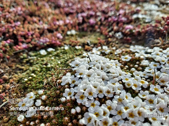 【Galaxy A51 5G星粉體驗活動】不平凡的輕旗艦