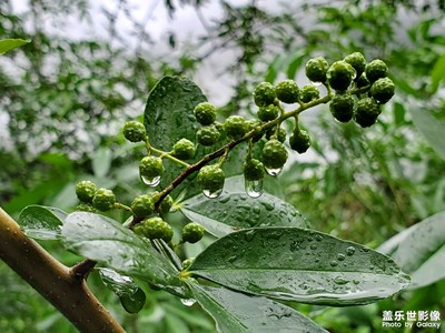 點(diǎn)滴精彩