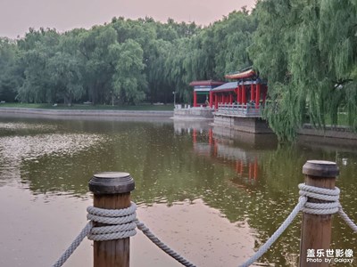青年湖