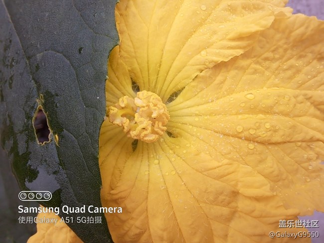 【A51星粉體驗(yàn)活動(dòng)】一切都剛剛好