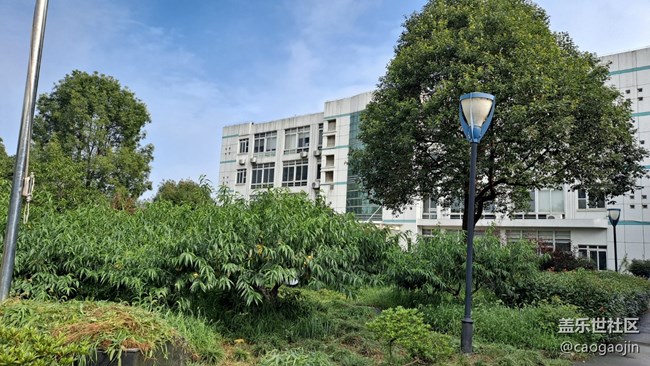 【Galaxy A51 5G星粉體驗(yàn)活動(dòng)】輕巧有型 漂亮耐看