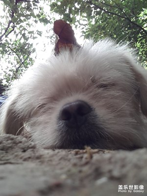 【與世界相遇】+那些小可愛