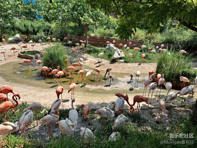 【Galaxy A51 5G星粉體驗活動】最具性價比的次旗艦